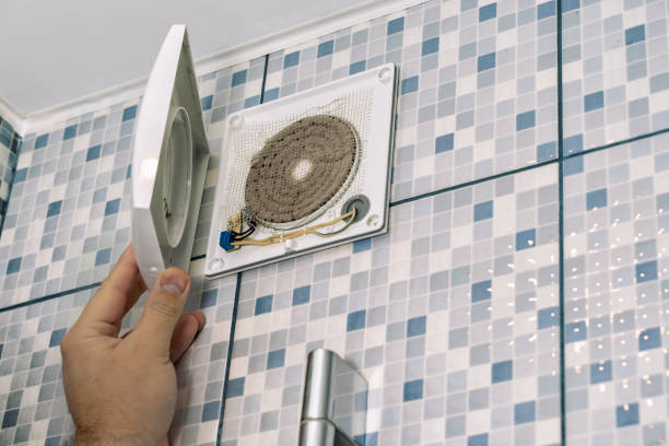 Best Air Duct Mold Removal  in Webster, SD