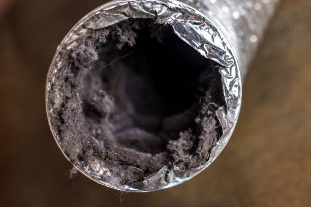 Best Best Air Duct Cleaning Company  in Webster, SD